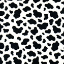 Sweetheart Ballerina Fabric black cow print