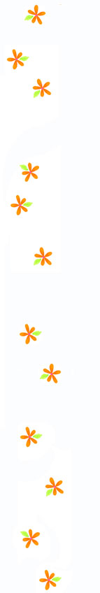 Orange flowers